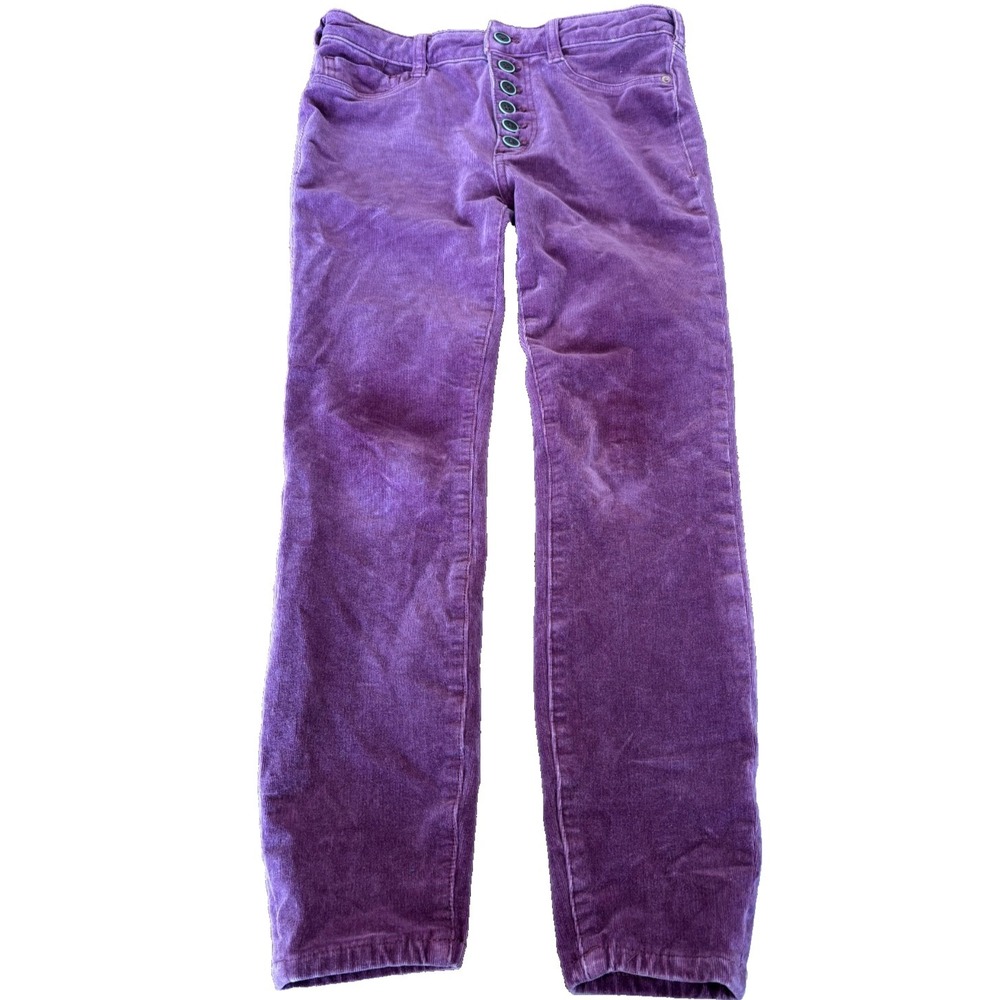 Anthropologie PILCRO Solid purple SERIF VELVET LEGGINGS Skinny Pants 28